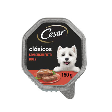 Cesar Buey Tarrina en Paté para Perros